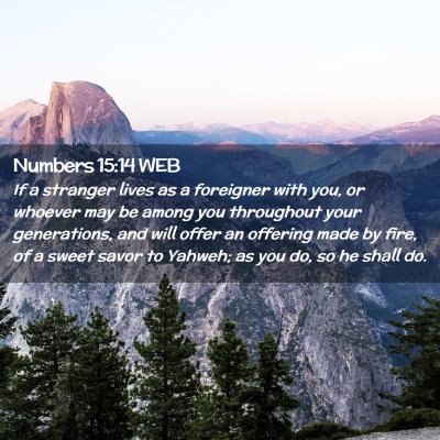 Picture 02 - Numbers 15:14 WEB - If a stranger lives as a foreigner with you, or - Bible Verse Picture