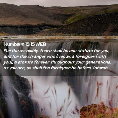 Picture 02 - Numbers 15:15 WEB - For the assembly, there shall be one statute for - Bible Verse Picture