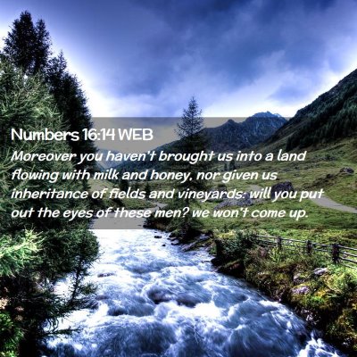 Picture 02 - Numbers 16:14 WEB - Moreover you haven't brought us into a land - Bible Verse Picture