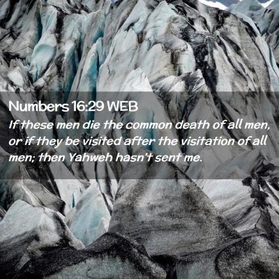 Picture 02 - Numbers 16:29 WEB - If these men die the common death of all men, or - Bible Verse Picture
