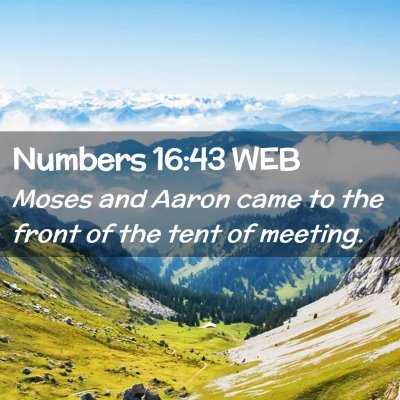 Picture 02 - Numbers 16:43 WEB - Moses and Aaron came to the front of the tent of - Bible Verse Picture