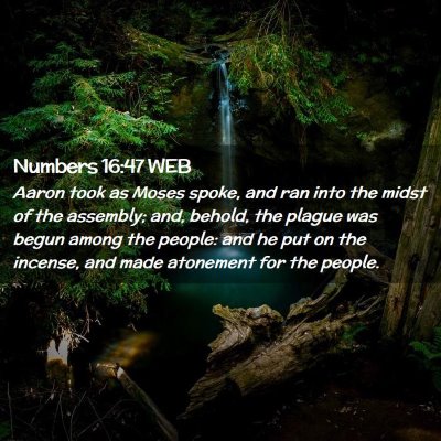 Picture 02 - Numbers 16:47 WEB - Aaron took as Moses spoke, and ran into the midst - Bible Verse Picture