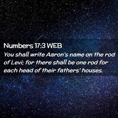 Picture 02 - Numbers 17:3 WEB - You shall write Aaron's name on the rod of Levi; - Bible Verse Picture