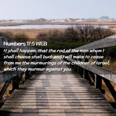 Picture 02 - Numbers 17:5 WEB - It shall happen, that the rod of the man whom I - Bible Verse Picture