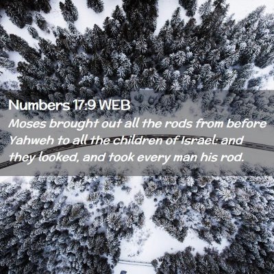 Picture 02 - Numbers 17:9 WEB - Moses brought out all the rods from before Yahweh - Bible Verse Picture