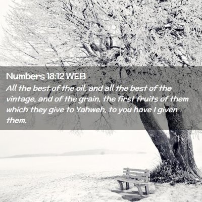 Picture 02 - Numbers 18:12 WEB - All the best of the oil, and all the best of the - Bible Verse Picture