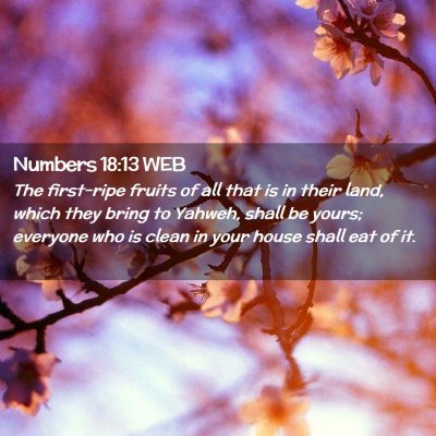 Picture 02 - Numbers 18:13 WEB - The first-ripe fruits of all that is in their - Bible Verse Picture