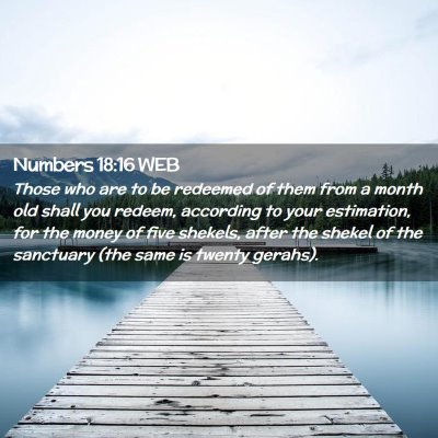 Picture 02 - Numbers 18:16 WEB - Those who are to be redeemed of them from a month - Bible Verse Picture