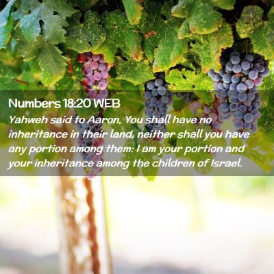 Picture 02 - Numbers 18:20 WEB - Yahweh said to Aaron, You shall have no - Bible Verse Picture