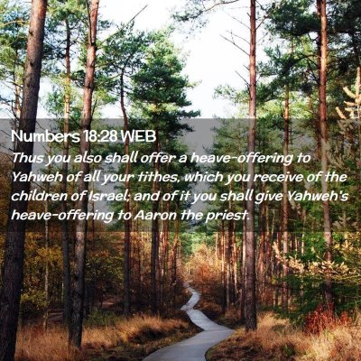 Picture 02 - Numbers 18:28 WEB - Thus you also shall offer a heave-offering to - Bible Verse Picture