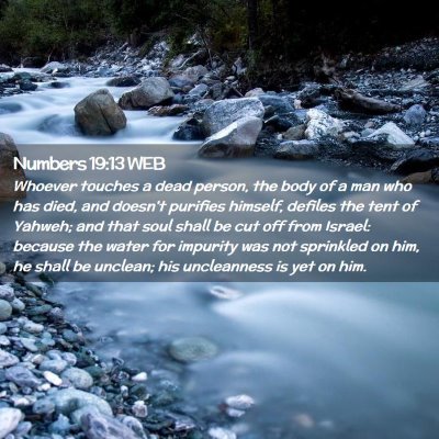 Picture 02 - Numbers 19:13 WEB - Whoever touches a dead person, the body of a man - Bible Verse Picture