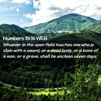Picture 02 - Numbers 19:16 WEB - Whoever in the open field touches one who is - Bible Verse Picture