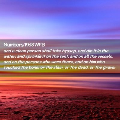 Picture 02 - Numbers 19:18 WEB - and a clean person shall take hyssop, and dip it - Bible Verse Picture