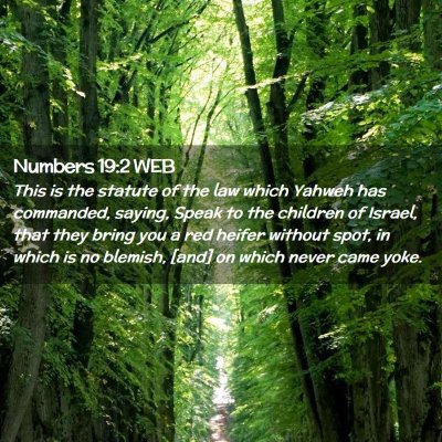 Picture 02 - Numbers 19:2 WEB - This is the statute of the law which Yahweh has - Bible Verse Picture