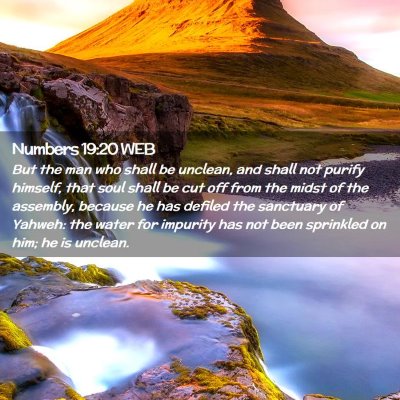Picture 02 - Numbers 19:20 WEB - But the man who shall be unclean, and shall not - Bible Verse Picture