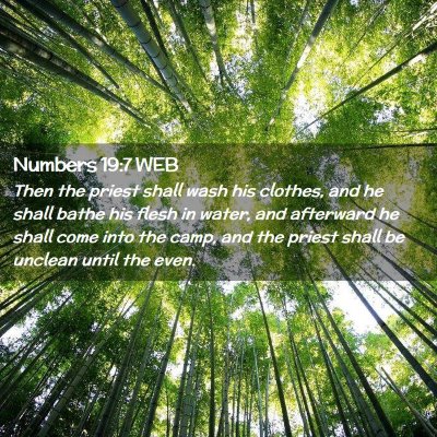Picture 02 - Numbers 19:7 WEB - Then the priest shall wash his clothes, and he - Bible Verse Picture