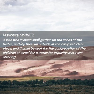 Picture 02 - Numbers 19:9 WEB - A man who is clean shall gather up the ashes of - Bible Verse Picture