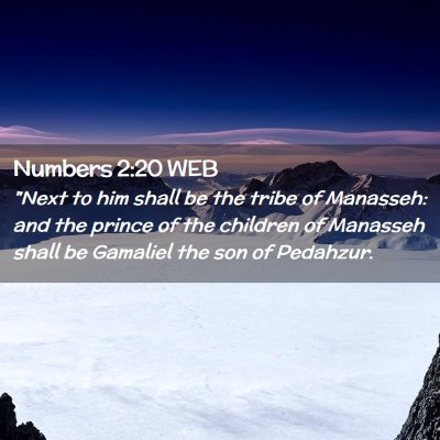 Picture 02 - Numbers 2:20 WEB - 