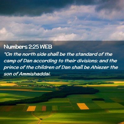 Picture 02 - Numbers 2:25 WEB - 