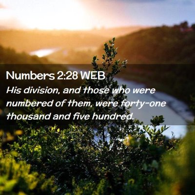 Picture 02 - Numbers 2:28 WEB - His division, and those who were numbered of - Bible Verse Picture