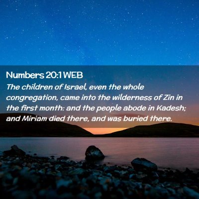 Picture 02 - Numbers 20:1 WEB - The children of Israel, even the whole - Bible Verse Picture