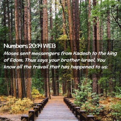 Picture 02 - Numbers 20:14 WEB - Moses sent messengers from Kadesh to the king of - Bible Verse Picture