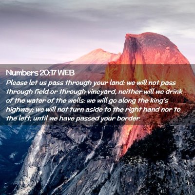 Picture 02 - Numbers 20:17 WEB - Please let us pass through your land: we will not - Bible Verse Picture