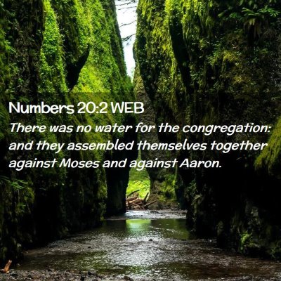 Picture 02 - Numbers 20:2 WEB - There was no water for the congregation: and they - Bible Verse Picture