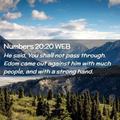 Picture 02 - Numbers 20:20 WEB - He said, You shall not pass through. Edom came - Bible Verse Picture