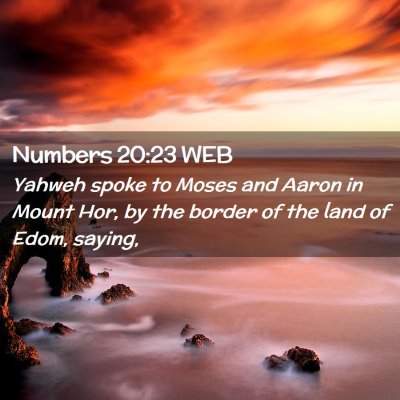 Picture 02 - Numbers 20:23 WEB - Yahweh spoke to Moses and Aaron in Mount Hor, by - Bible Verse Picture