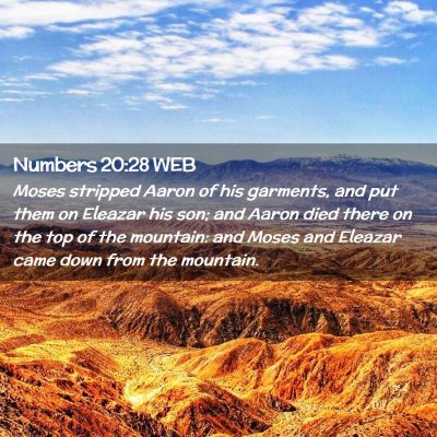 Picture 02 - Numbers 20:28 WEB - Moses stripped Aaron of his garments, and put - Bible Verse Picture