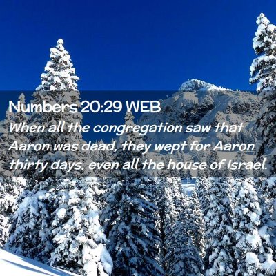 Picture 02 - Numbers 20:29 WEB - When all the congregation saw that Aaron was - Bible Verse Picture