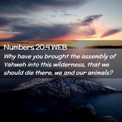Picture 02 - Numbers 20:4 WEB - Why have you brought the assembly of Yahweh into - Bible Verse Picture