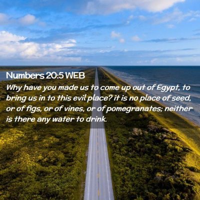 Picture 02 - Numbers 20:5 WEB - Why have you made us to come up out of Egypt, to - Bible Verse Picture