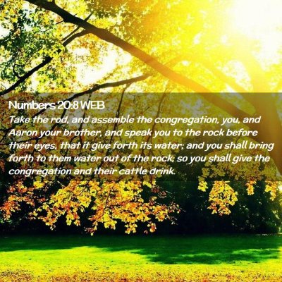 Picture 02 - Numbers 20:8 WEB - Take the rod, and assemble the congregation, you, - Bible Verse Picture