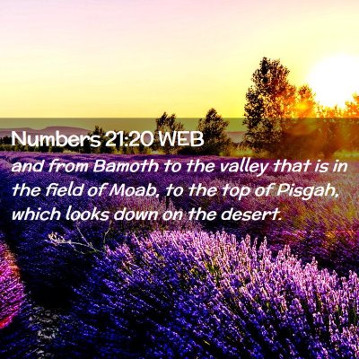 Picture 02 - Numbers 21:20 WEB - and from Bamoth to the valley that is in the - Bible Verse Picture