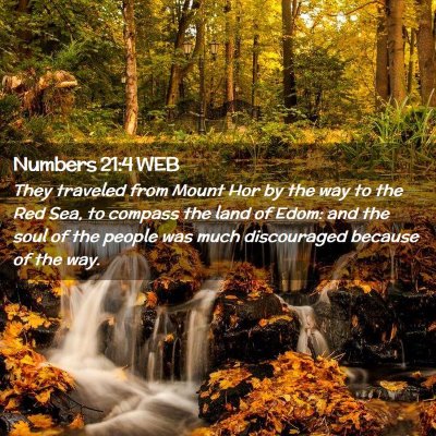 Picture 02 - Numbers 21:4 WEB - They traveled from Mount Hor by the way to the - Bible Verse Picture