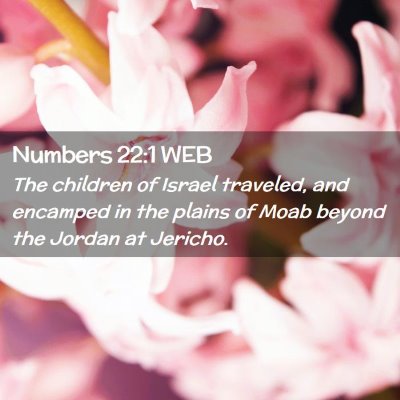 Picture 02 - Numbers 22:1 WEB - The children of Israel traveled, and encamped in - Bible Verse Picture