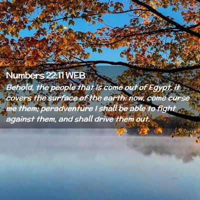 Picture 02 - Numbers 22:11 WEB - Behold, the people that is come out of Egypt, it - Bible Verse Picture