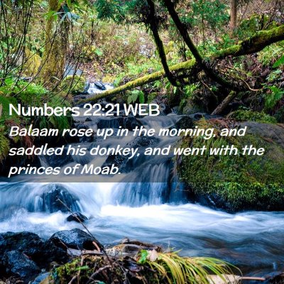 Picture 02 - Numbers 22:21 WEB - Balaam rose up in the morning, and saddled his - Bible Verse Picture