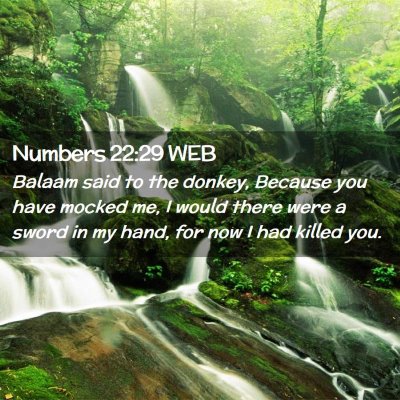 Picture 02 - Numbers 22:29 WEB - Balaam said to the donkey, Because you have - Bible Verse Picture
