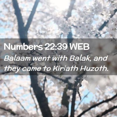 Picture 02 - Numbers 22:39 WEB - Balaam went with Balak, and they came to Kiriath - Bible Verse Picture