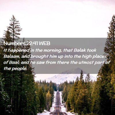 Picture 02 - Numbers 22:41 WEB - It happened in the morning, that Balak took - Bible Verse Picture