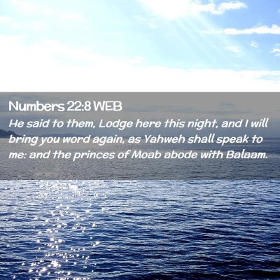 Picture 02 - Numbers 22:8 WEB - He said to them, Lodge here this night, and I - Bible Verse Picture