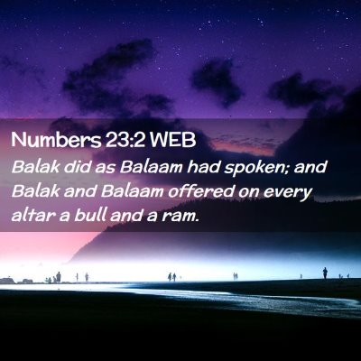 Picture 02 - Numbers 23:2 WEB - Balak did as Balaam had spoken; and Balak and - Bible Verse Picture