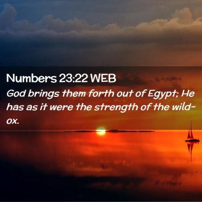Picture 02 - Numbers 23:22 WEB - God brings them forth out of Egypt; He has as it - Bible Verse Picture