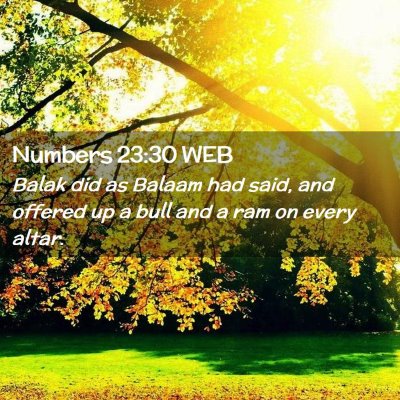 Picture 02 - Numbers 23:30 WEB - Balak did as Balaam had said, and offered up a - Bible Verse Picture