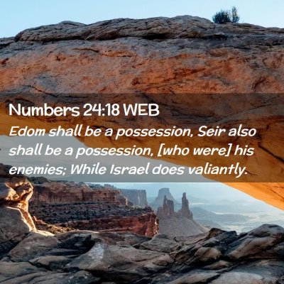 Picture 02 - Numbers 24:18 WEB - Edom shall be a possession, Seir also shall be a - Bible Verse Picture