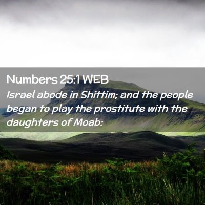 Picture 02 - Numbers 25:1 WEB - Israel abode in Shittim; and the people began to - Bible Verse Picture
