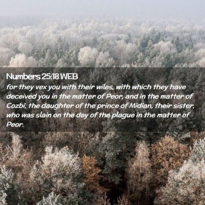 Picture 02 - Numbers 25:18 WEB - for they vex you with their wiles, with which - Bible Verse Picture